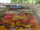 Random pictures